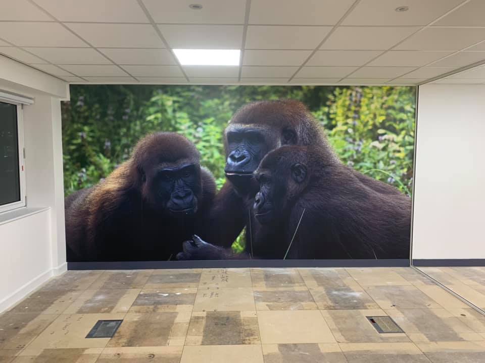 commercial decorator
